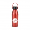 Dapto 680ml Bottle 4
