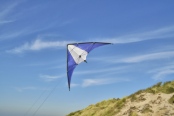 Kite 6