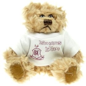 15 cm Windsor Jointed Bear in a T-Shirt