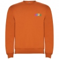 Clasica Kids Crewneck Sweater 9