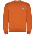 Clasica Kids Crewneck Sweater 9