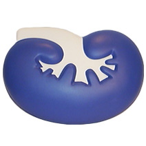 Kidney Stress Toy