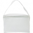 Cooler Bag 4