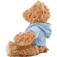 Plush Teddy Bear with Hoodie 3
