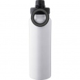 Stainless Steel Double Walled Bottle (800 ml) 9