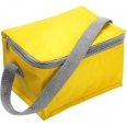 Cooler Bag 6