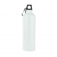 Pollock Glossy 750ml Sports Bottle 8