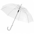Kate 23" Transparent Auto Open Umbrella 1