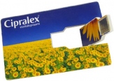 Premier Credit Card USB Flash Drive 3