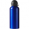 Aluminium Single Walled Drinking Bottle (650ml) 2