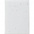 Printed Seed Paper Sticky Notes 3