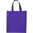 Shopping Bag 10