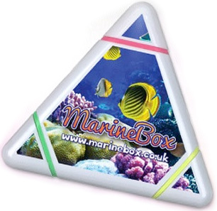 Triangular Full Colour Highlighter