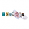 Magnifying Glass 2