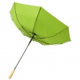 Alina 23 Auto Open Recycled PET Umbrella" 5