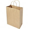 Paper Bag (Medium) 3