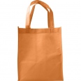 Shopping Bag 7