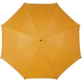 Sports Umbrella 7