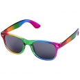 Sun Ray Rainbow Sunglasses 1