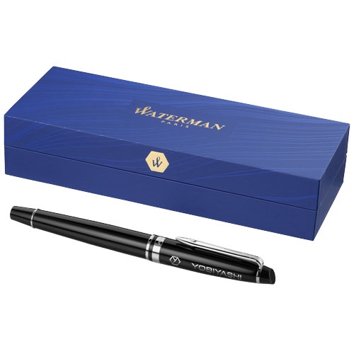Waterman Expert Fountain Pen
