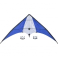 Kite 2