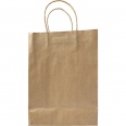 Paper Bag (Medium) 2