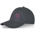Davis 6 Panel Cap 7