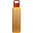 Water Bottle (650ml) 6