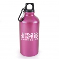 Pollock Glossy 550ml Sports Bottle 11