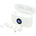 Anton Evo ANC Earbuds 1