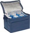 Rainham 6 Can Cooler 3