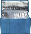 Rainham 12 Can Cooler Bag 2