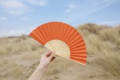 Bamboo Fan 9
