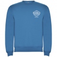 Clasica Unisex Crewneck Sweater 23
