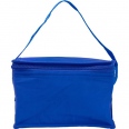 Cooler Bag 3