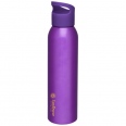 Sky 650 ml Water Bottle 11