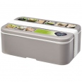 MIYO Renew Single Layer Lunch Box 11