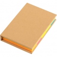 Notebook with Sticky Notes 2