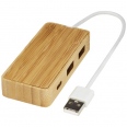 Tapas Bamboo USB Hub 1