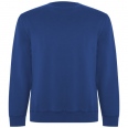 Batian Unisex Crewneck Sweater 1