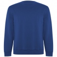 Batian Unisex Crewneck Sweater 1