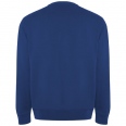 Batian Unisex Crewneck Sweater 3