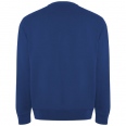 Batian Unisex Crewneck Sweater 3