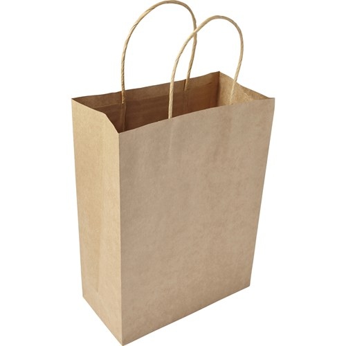 Paper Bag (Medium)