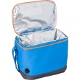 Cooler Bag 2