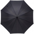 Rpet Umbrella 2