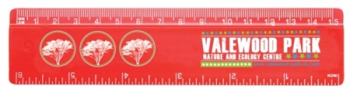 6inch 15cm Ruler