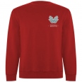 Batian Unisex Crewneck Sweater 7