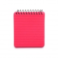 Bailey Notebook 4
