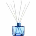 Glass Diffuser 6